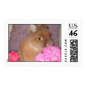 Lionhart postage