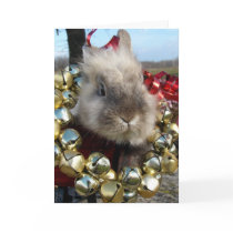 Lionhead Bunny Christmas cards