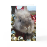 Lionhead Bunny Christmas Card