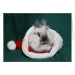 Lionhead Bunny Santa Card