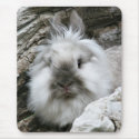 Lionhead Rabbit mousepads