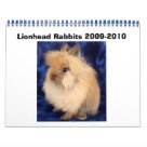 Lionhead Rabbits 2009-2010