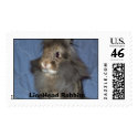 LionHead Rabbits postage by kougra321 LionHead Rabbits postage