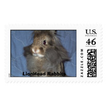 LionHead Rabbits postage