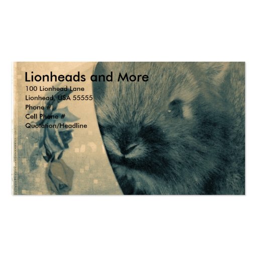Lionheads and More Business Cards (front side)