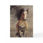 Lionheart Card
