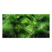 lionking photo cards by SNAPPYDAVE lionking photo cards