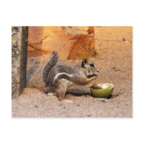 Lionmunk postcard by Junglegeorge Lionmunk postcard