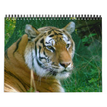 Lions and Tigers and Giraffes... - Customized calendars