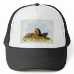 Lions at rest trucker hats