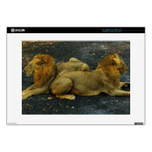 Lions Decal For Laptop