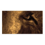 lions eye 2 business card template