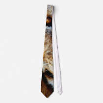 Lions eye ties