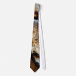 Lions eye ties