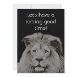 Lion's Head Announcements