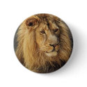 Lions in the Wild Gifts and Tees buttons by naturetees Lions in the Wild Gifts and Tees buttons