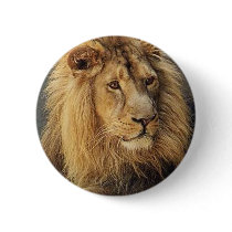 Lions in the Wild Gifts and Tees buttons by naturetees Lions in the Wild Gifts and Tees buttons