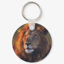Lions in the Wild Gifts and Tees keychains by naturetees Lions in the Wild Gifts and Tees keychains