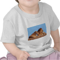 Lions in the Wild Tees, Cards and GIfts