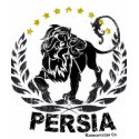 Lions of Persia t-shirts