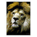 Lions only kill when they are hungry....(card) by nefera Lions only kill when they are hungry....(card)