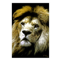 Lions only kill when they are hungry .... posters by nefera Lions only kill when they are hungry .... posters