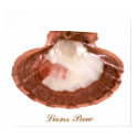 lions paw, Lions Paw posters
