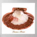 lions paw, Lions Paw posters