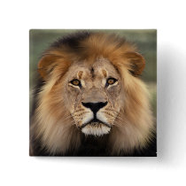 Lions Photograph Pin