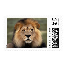 Lions Photograph Postage Stamps