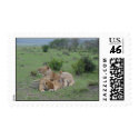 Lions postage by jfogelsong Lions postage
