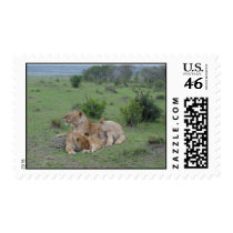Lions postage