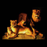 Lions posters