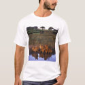 Lions t-shirts by sherkan Lions t-shirts