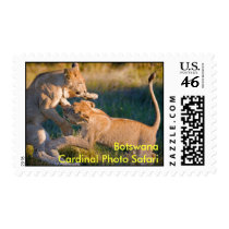 Lions Wrestling stamps