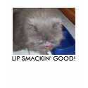 LIP SMACKIN' GOOD! t-shirts