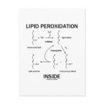 Lipid Peroxidation Inside Post Cards