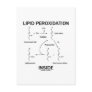 Lipid Peroxidation Inside Post Cards