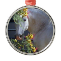 Lipizzan Stallion Ornament ornaments
