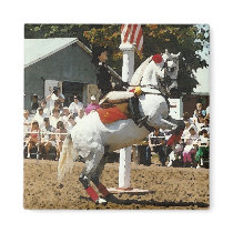Lippizan horse magnet