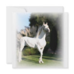 Lippizaner White Horse Invitation