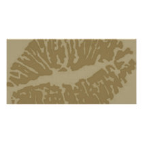 lips-7571-browns custom photo card