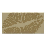 lips-7571-browns custom photo card