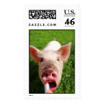 Lipstick on a Pig postage
