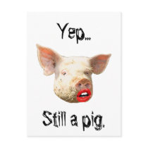 Lipstick on a Pig Post Cards