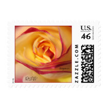 Lipstick Sunshine Rose Small Wedding Postage