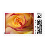 Lipstick Sunshine Rose Wedding Postage