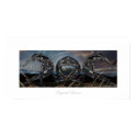 Liquid-Dance posters by Malanda Liquid-Dance posters
