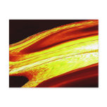 LIQUID FIRE POSTCARDS