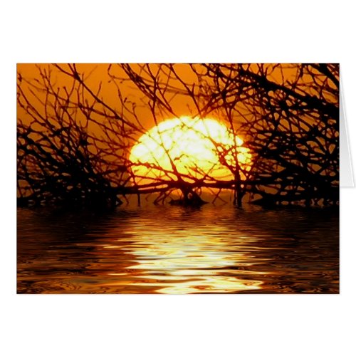 Liquid Sunset CARD card
